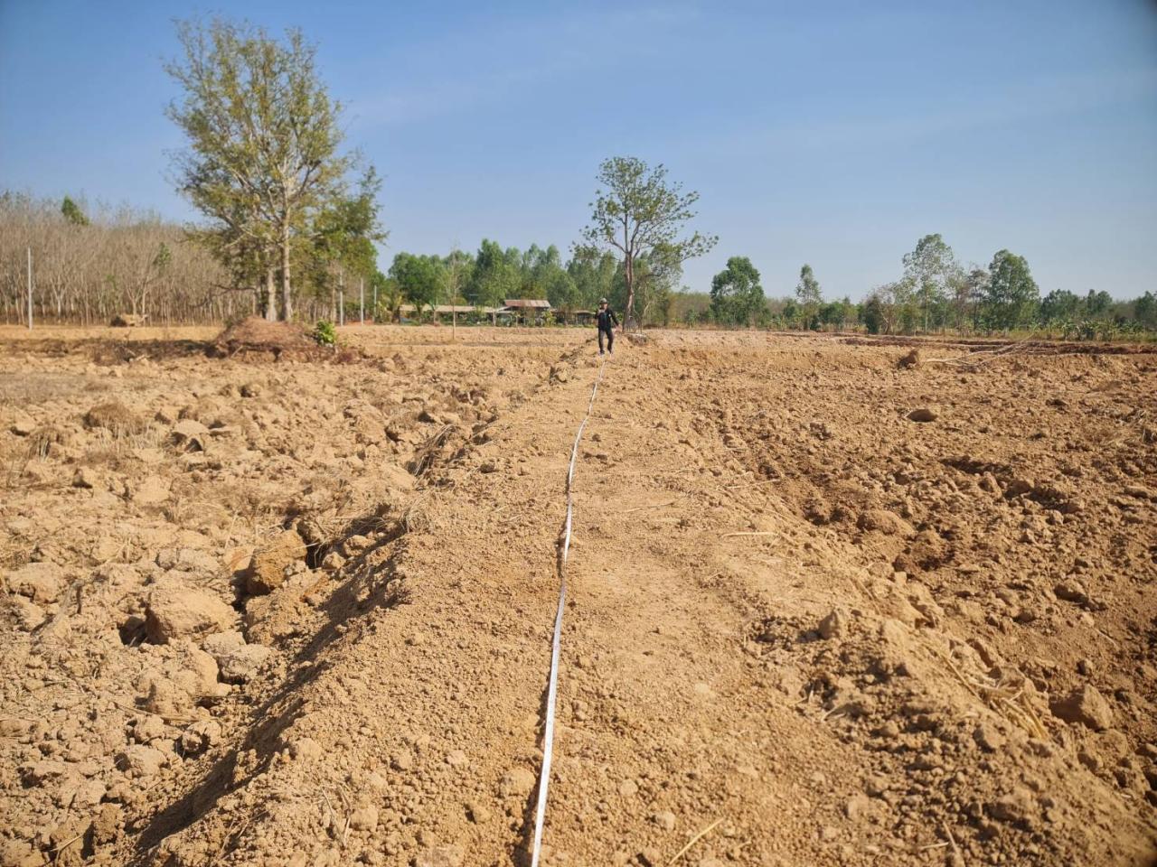 ภาพประกอบที่ 17