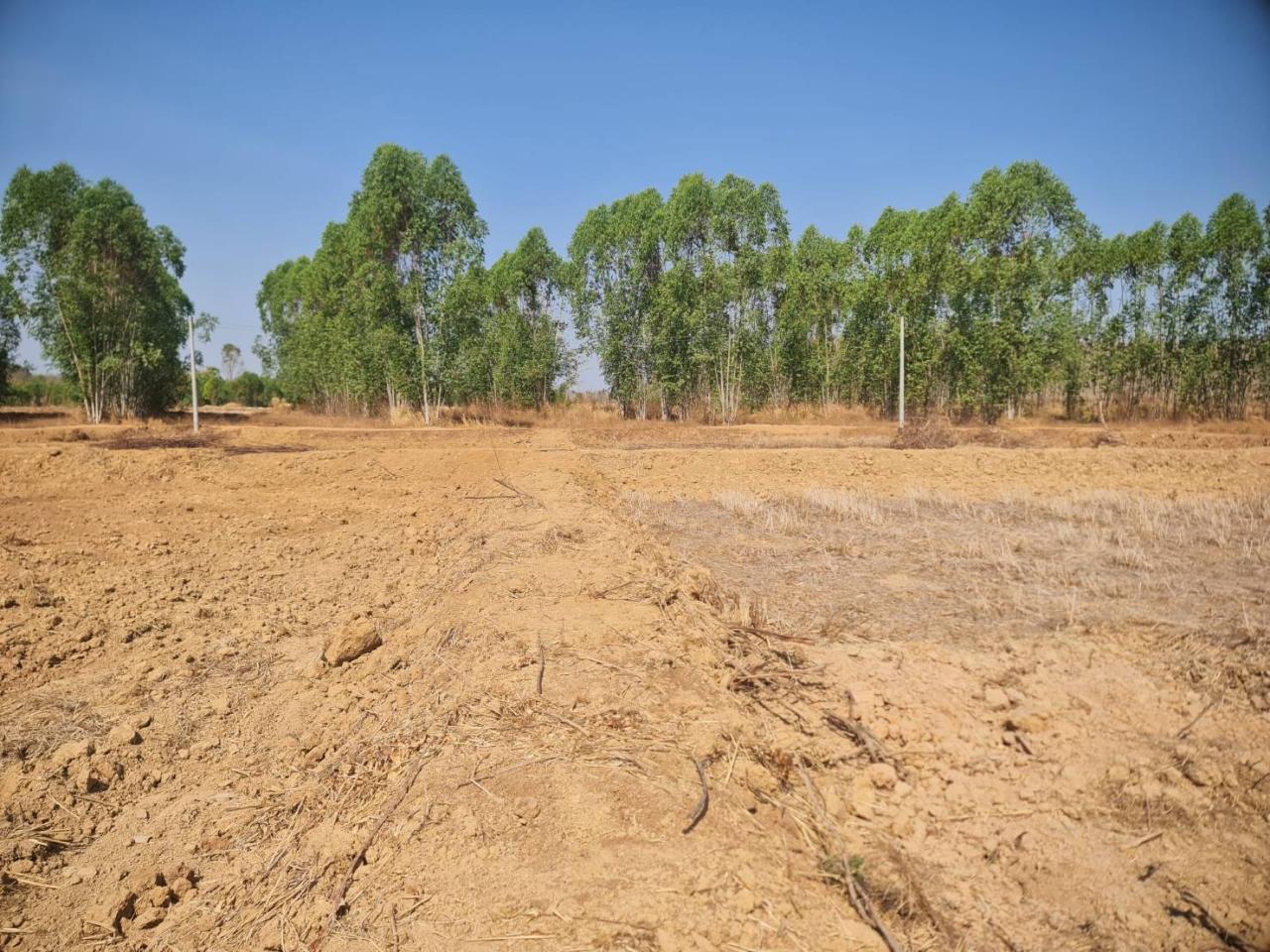 ภาพประกอบที่ 19