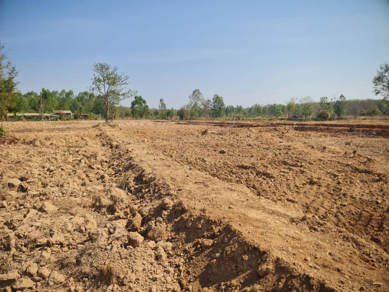 ภาพประกอบที่ 20