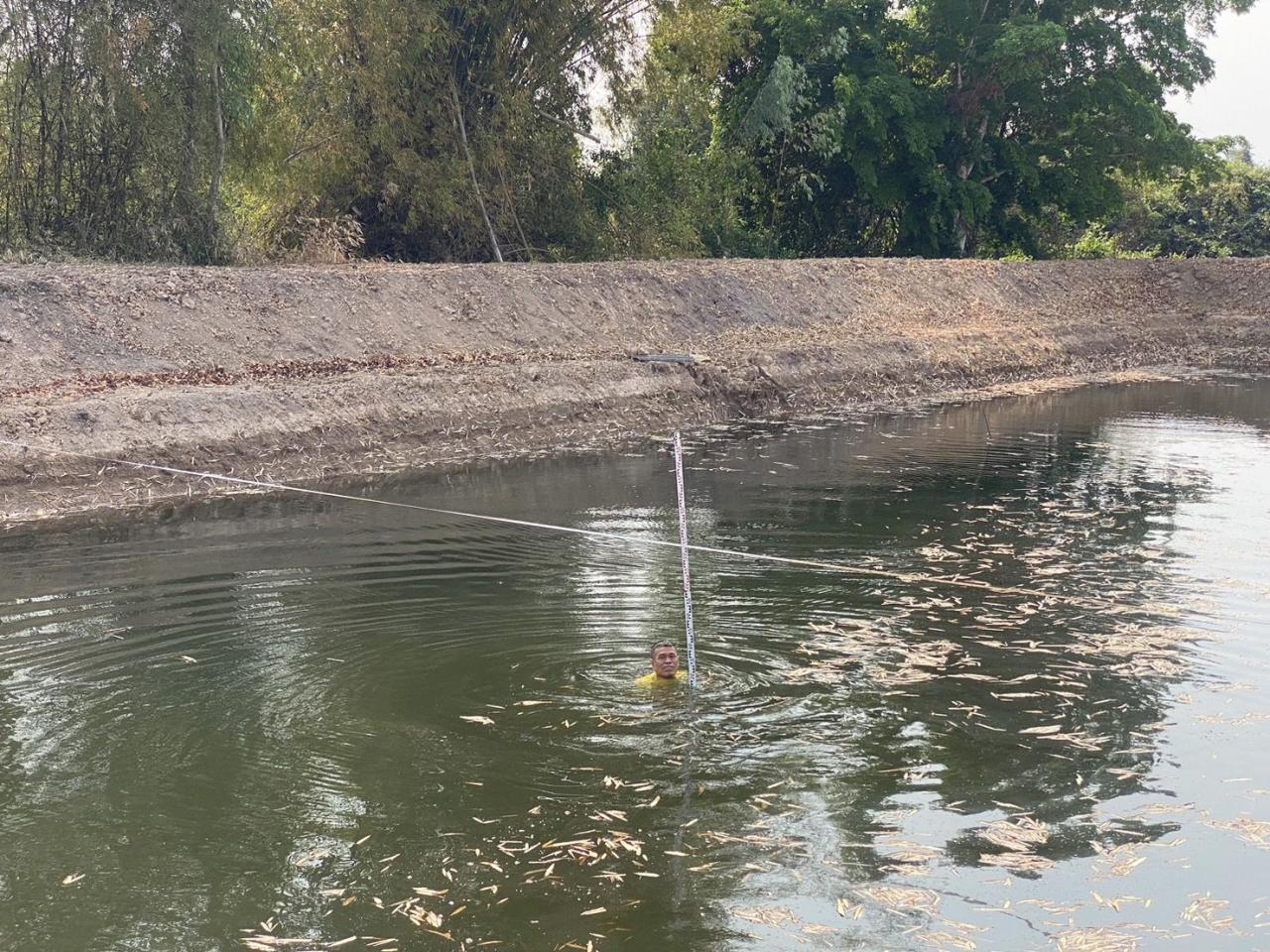 ภาพประกอบที่ 8