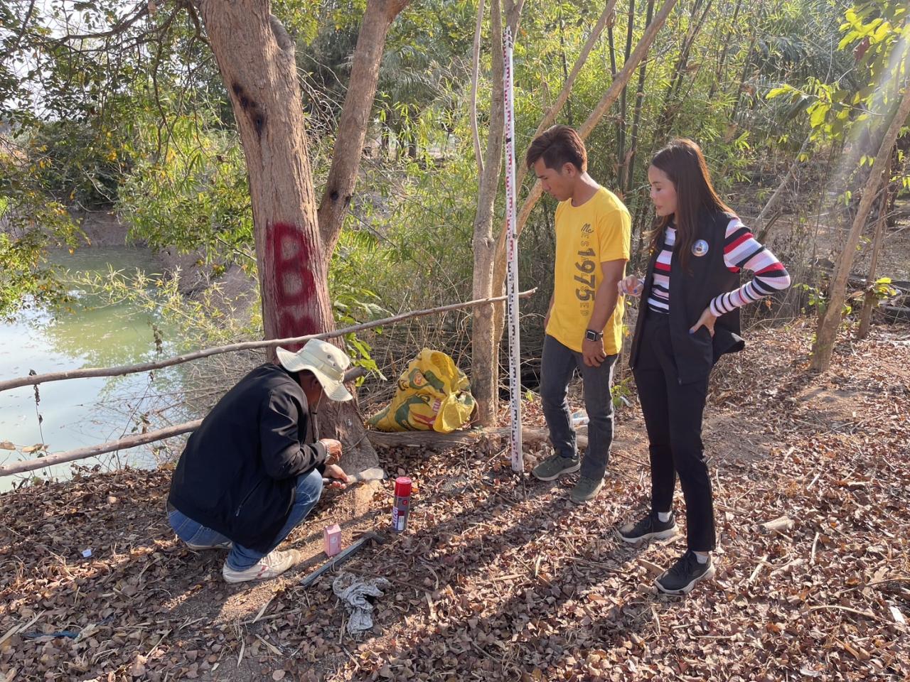 ภาพประกอบที่ 0