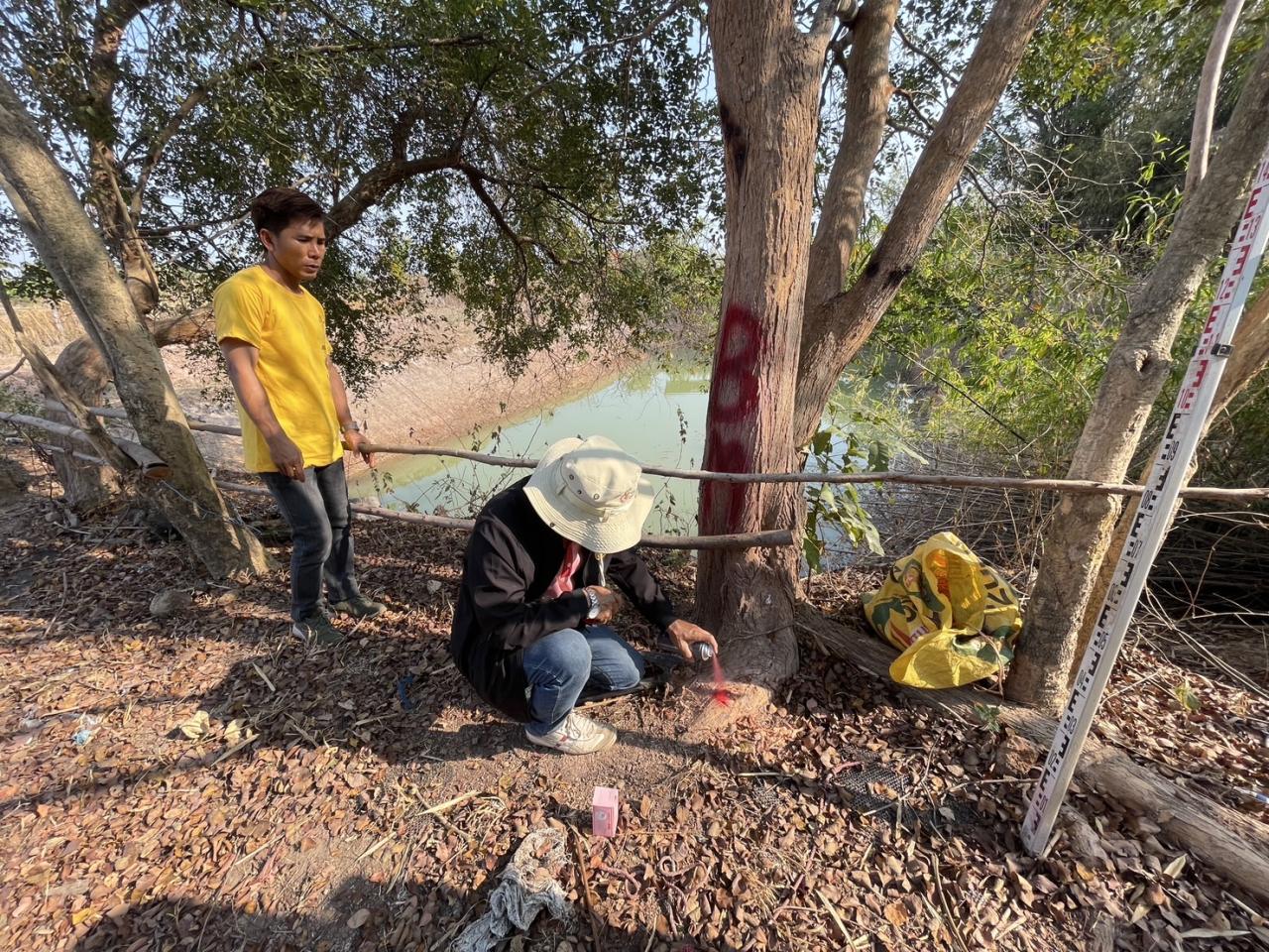 ภาพประกอบที่ 2