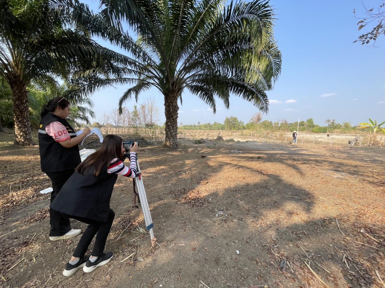 ภาพประกอบที่ 7