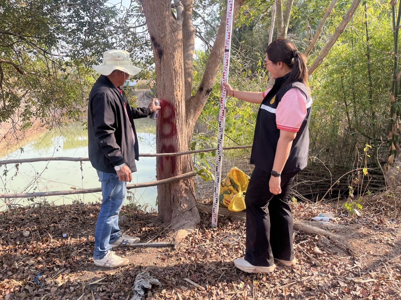 ภาพประกอบที่ 8