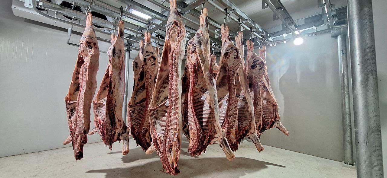 ภาพประกอบที่ 9