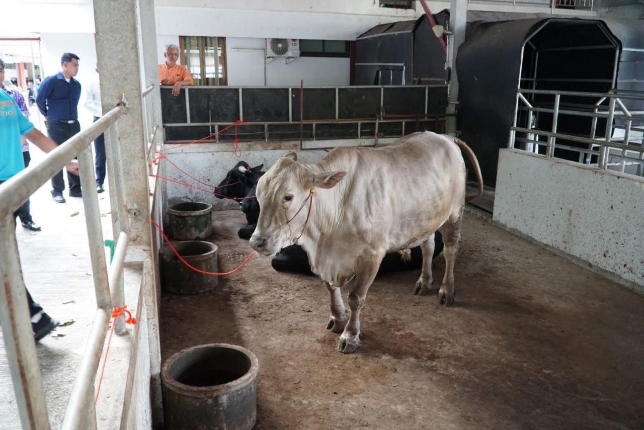 ภาพประกอบที่ 12