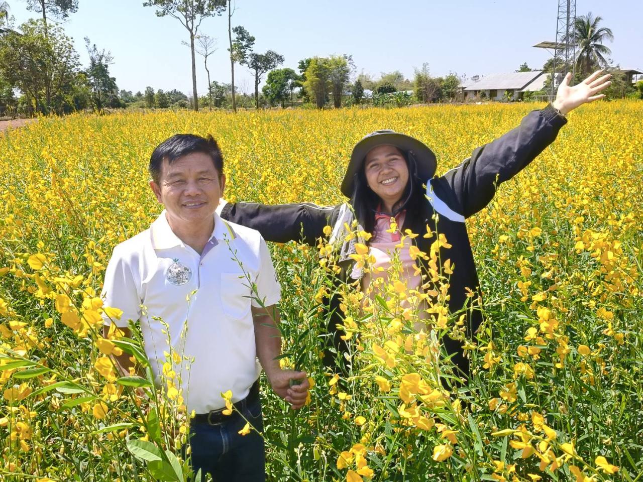 ภาพประกอบที่ 0