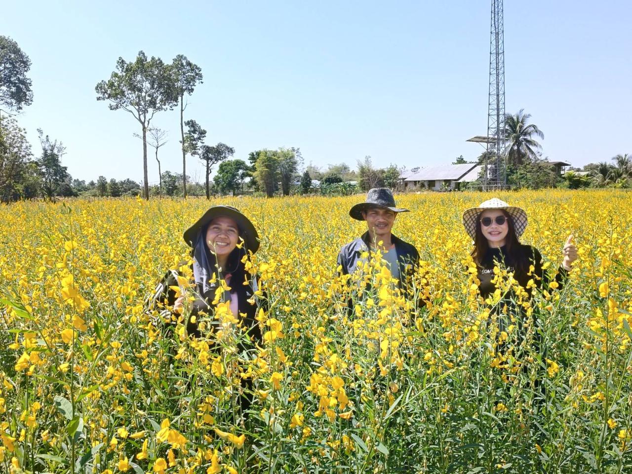 ภาพประกอบที่ 1