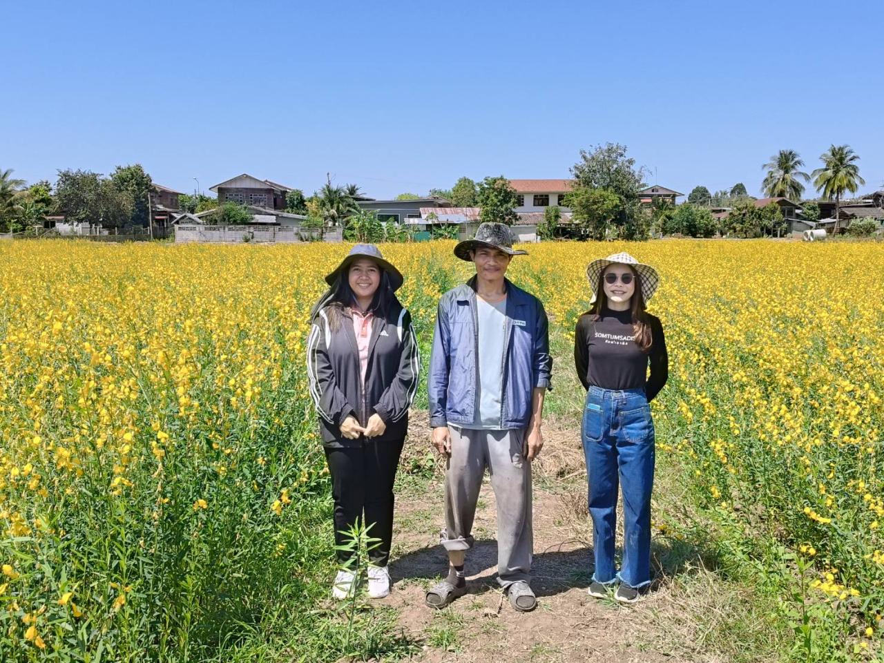 ภาพประกอบที่ 3