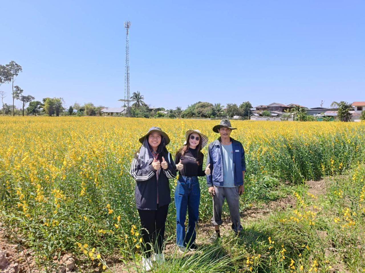 ภาพประกอบที่ 4