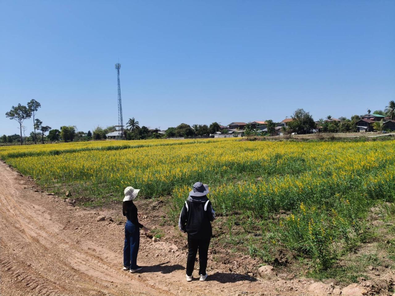 ภาพประกอบที่ 5