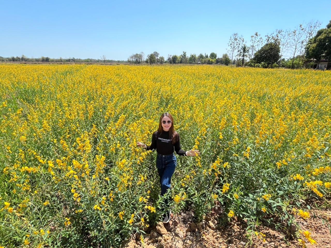 ภาพประกอบที่ 6