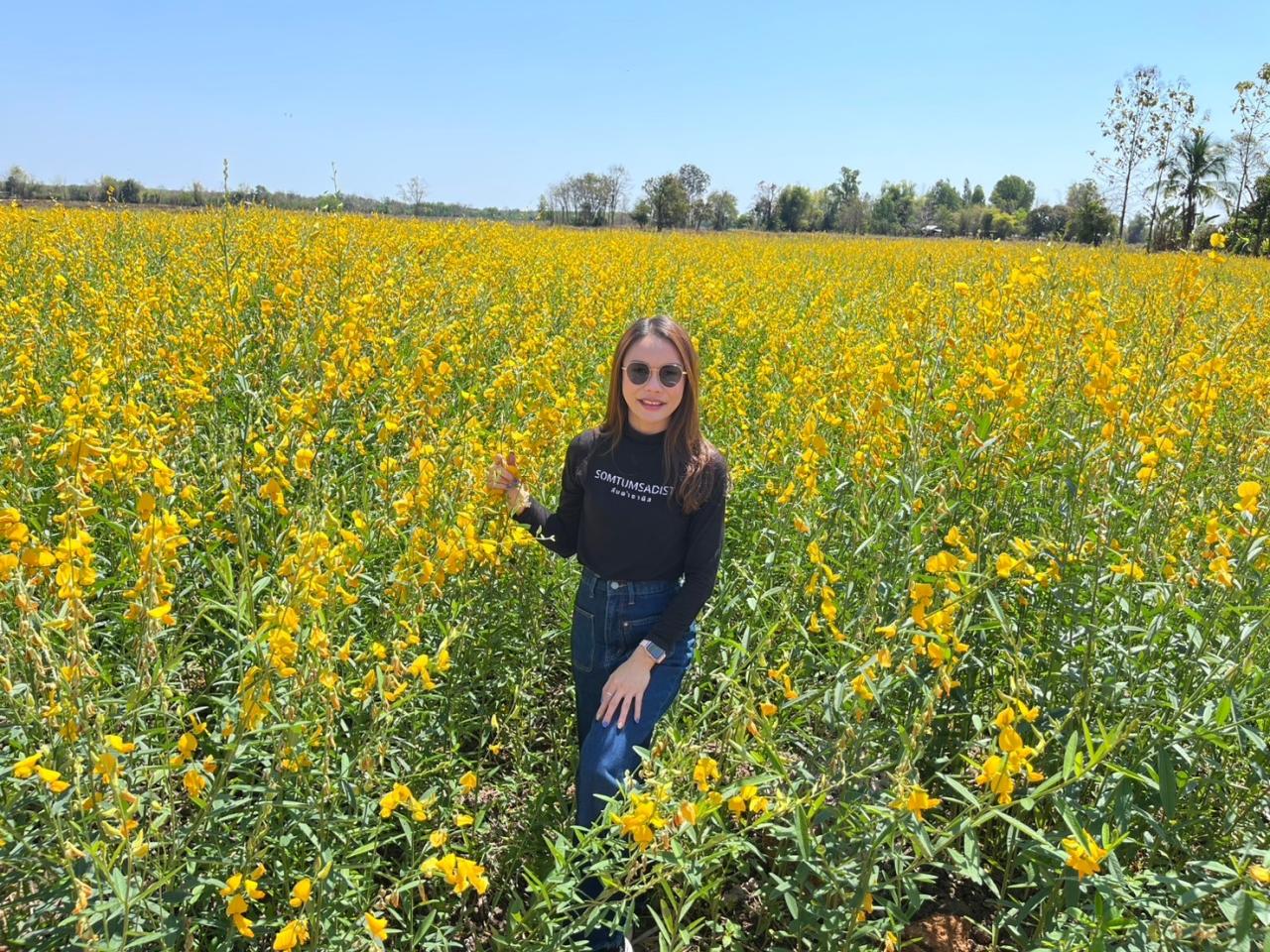 ภาพประกอบที่ 7