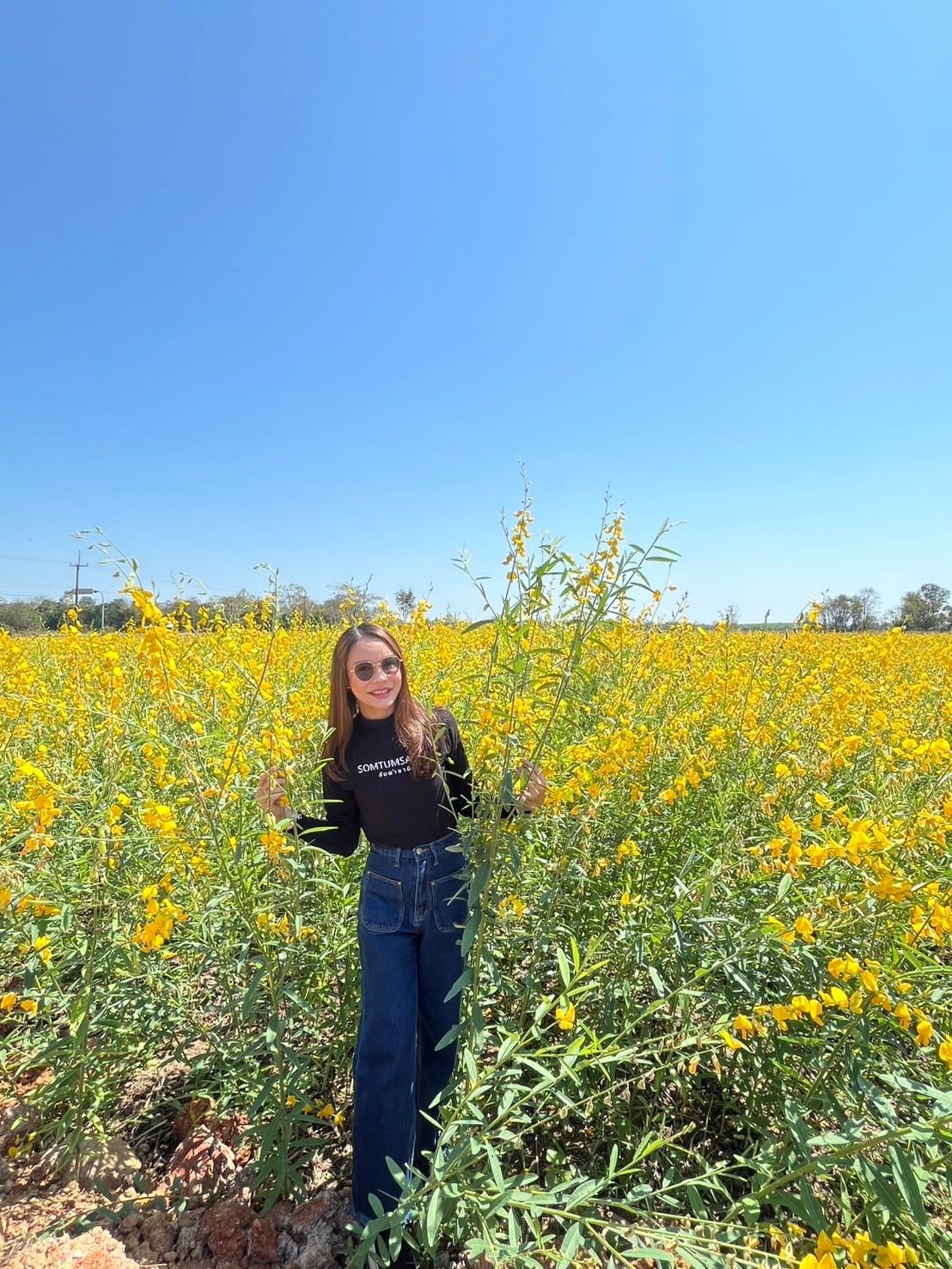 ภาพประกอบที่ 8