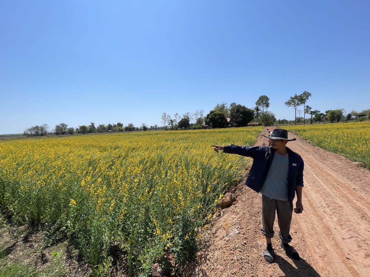 ภาพประกอบที่ 10