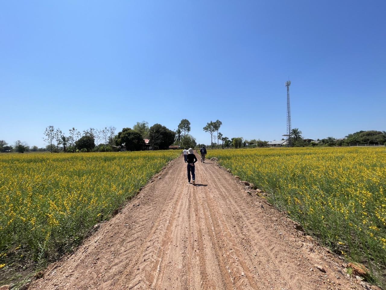 ภาพประกอบที่ 11
