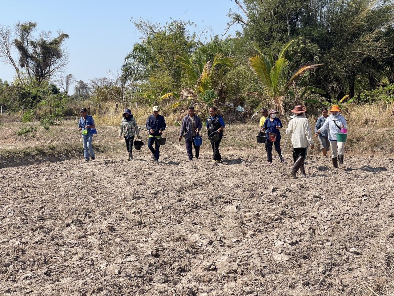 ภาพประกอบที่ 7