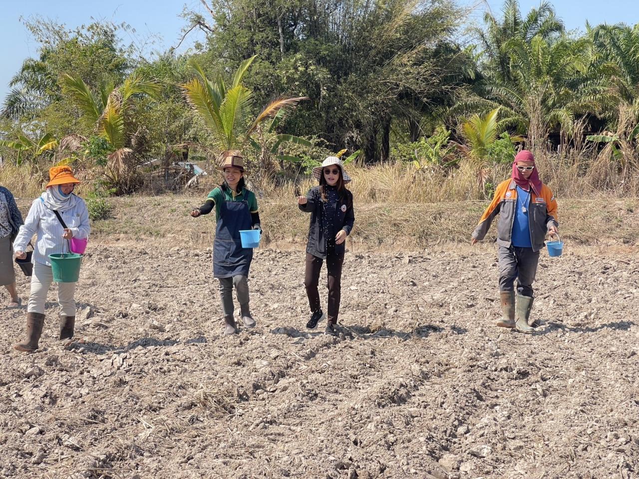 ภาพประกอบที่ 8