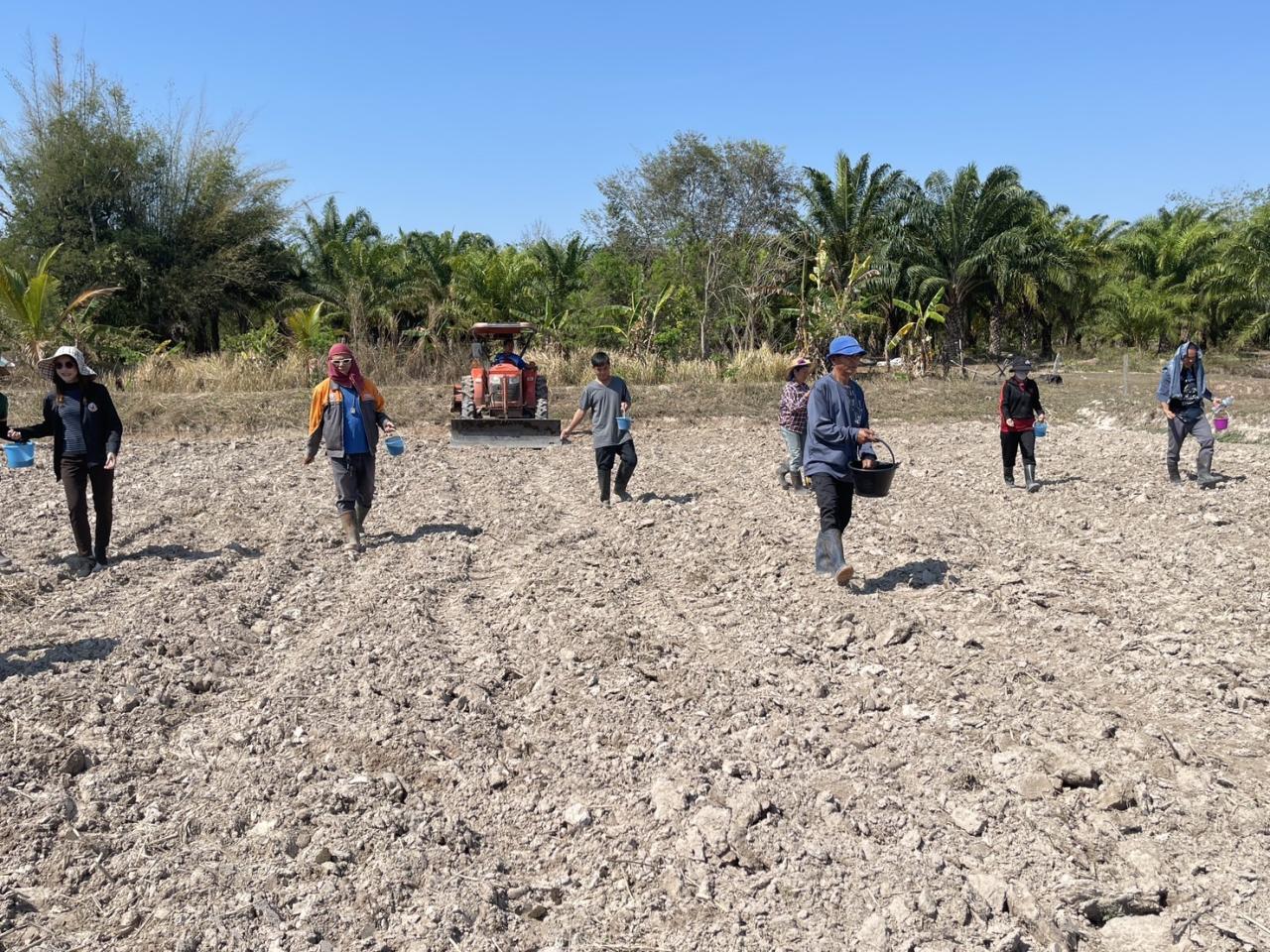 ภาพประกอบที่ 10