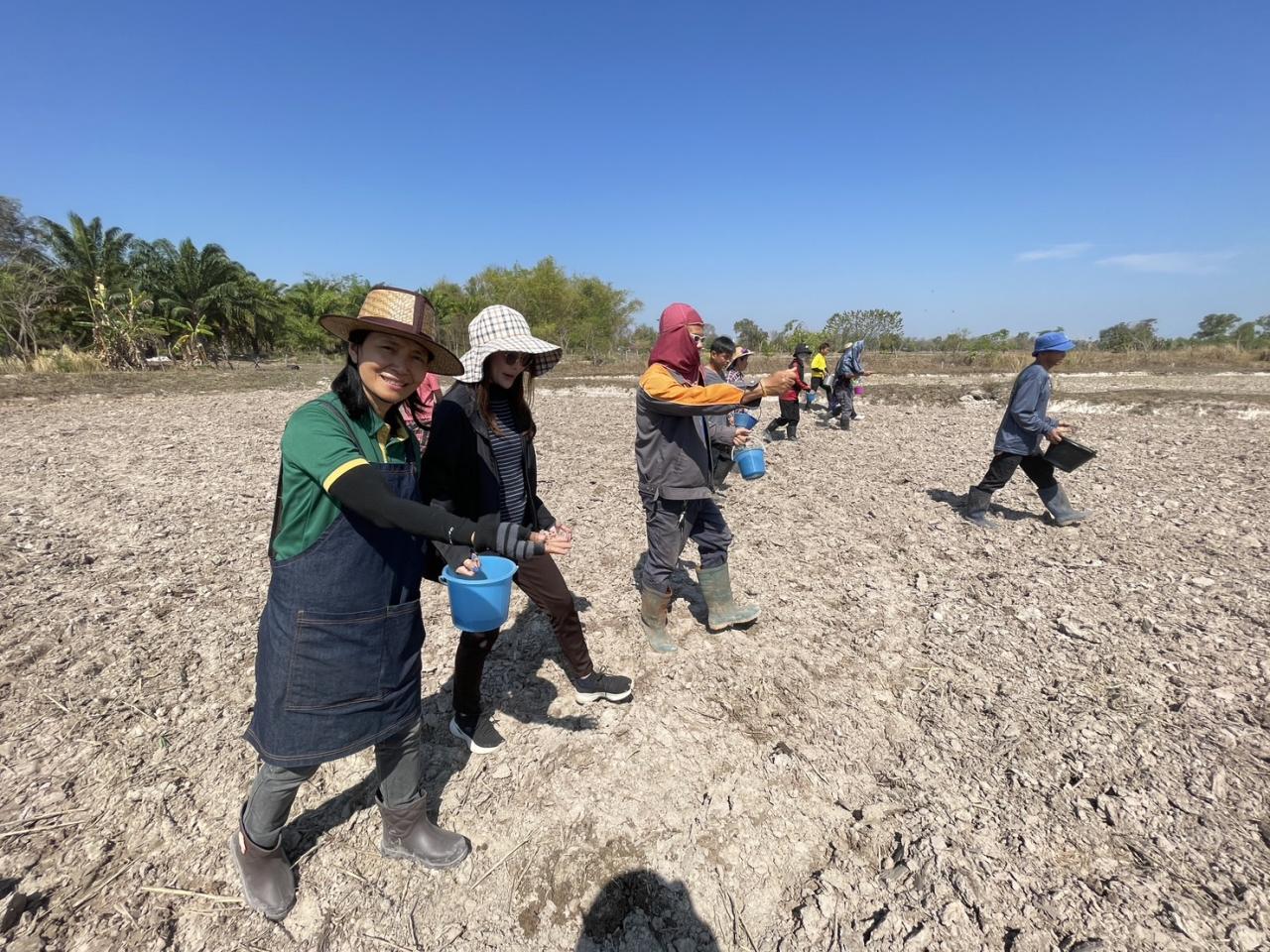 ภาพประกอบที่ 11