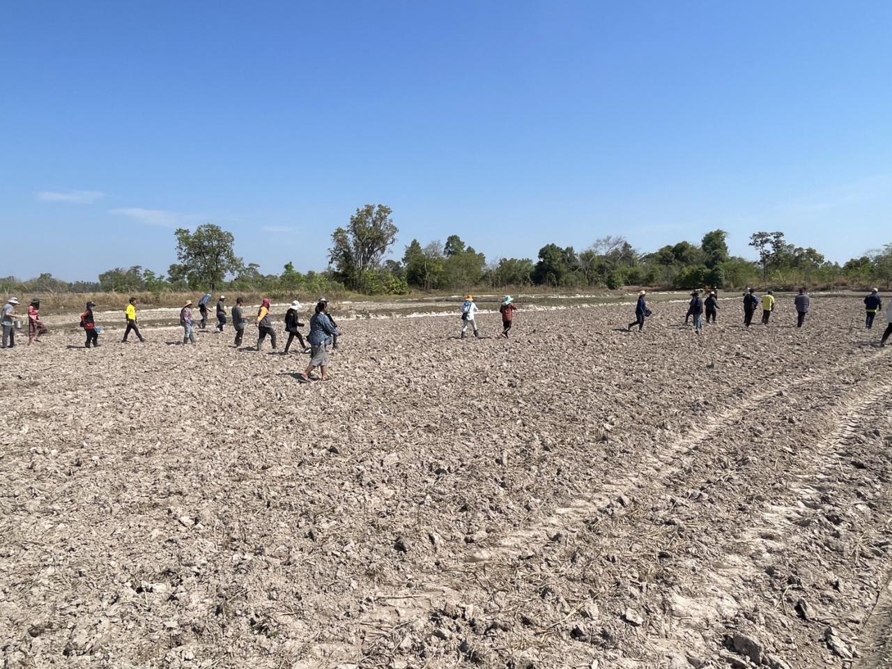 ภาพประกอบที่ 13