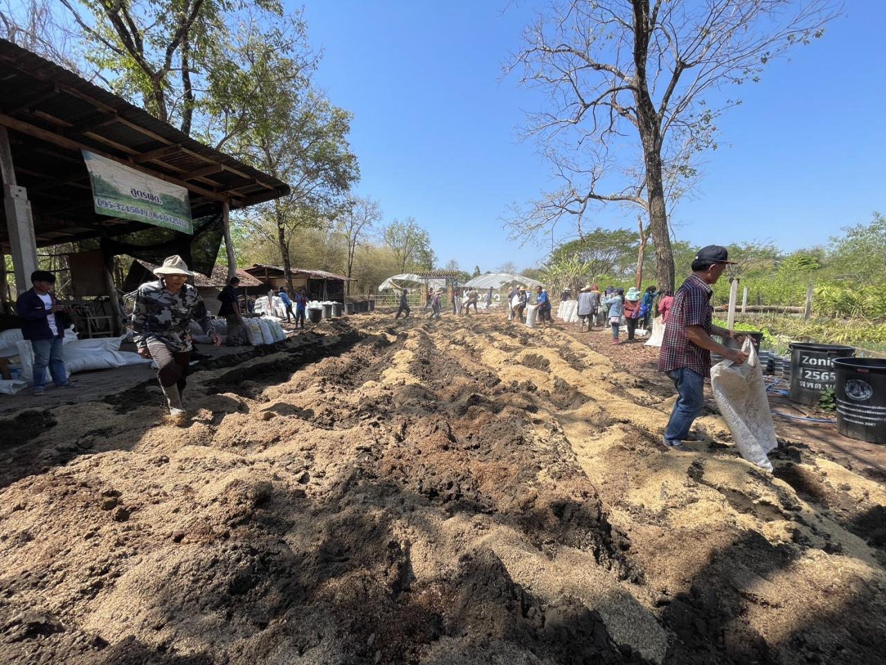 ภาพประกอบที่ 6