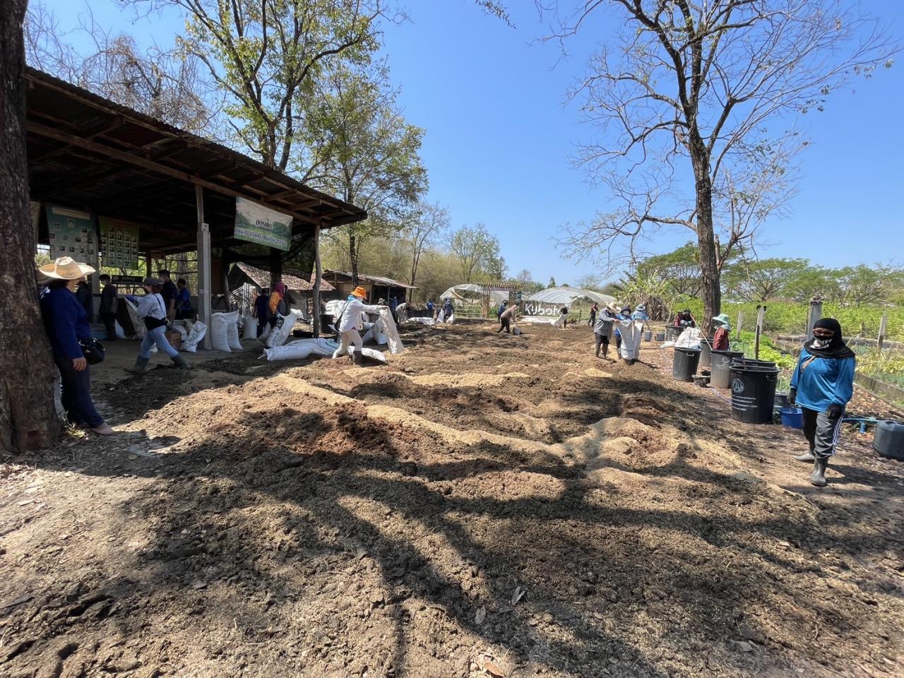 ภาพประกอบที่ 11