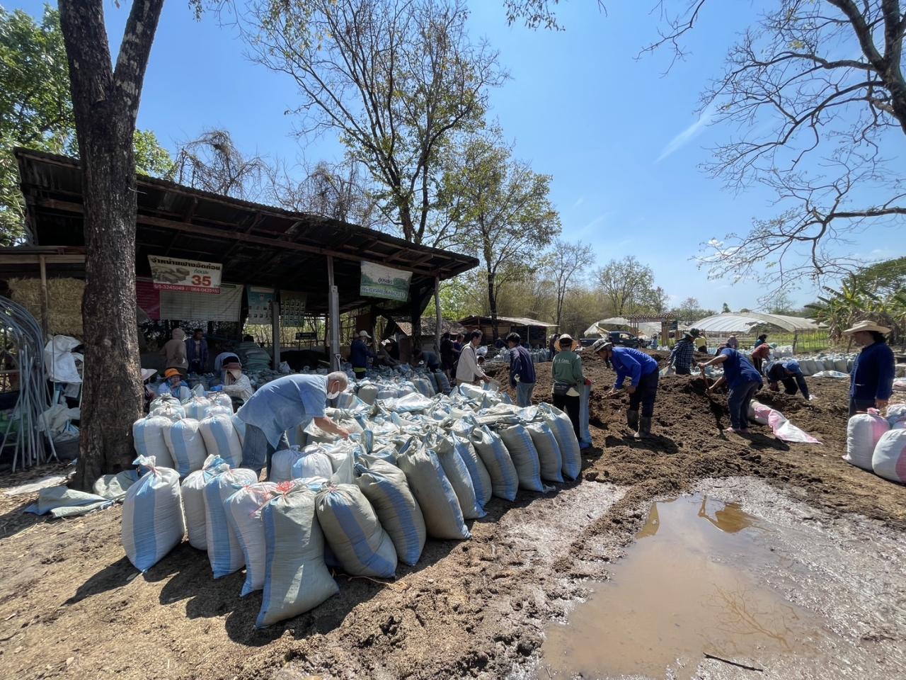 ภาพประกอบที่ 16