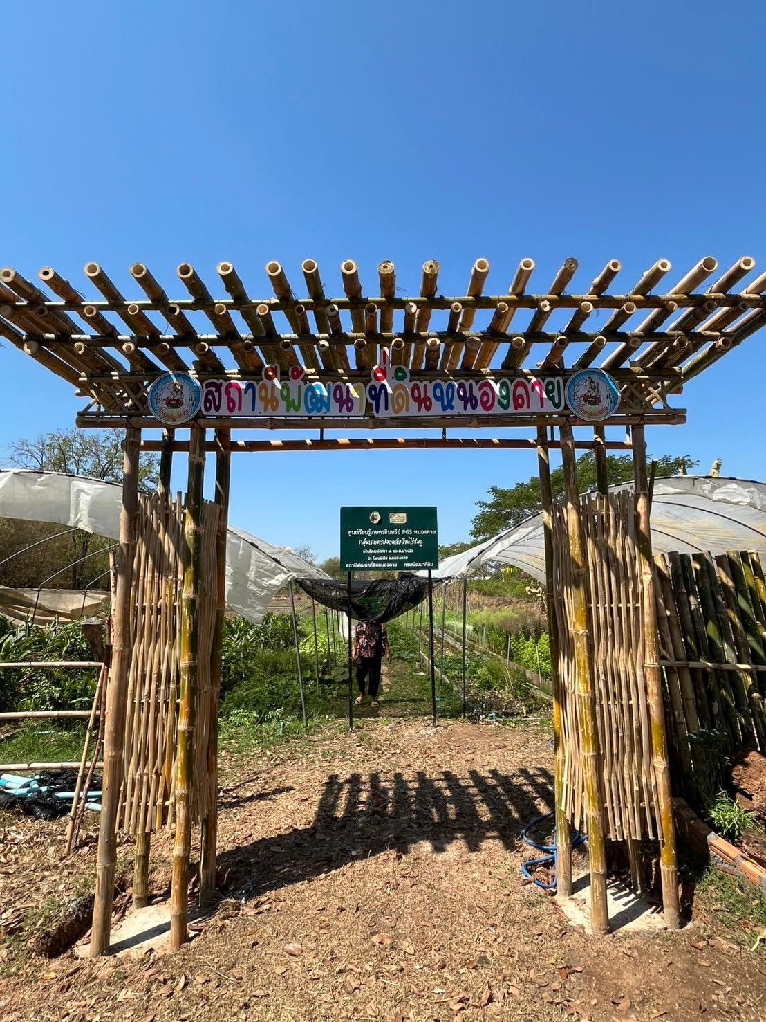 ภาพประกอบที่ 21