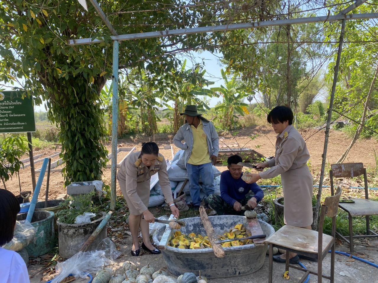 ภาพประกอบที่ 3