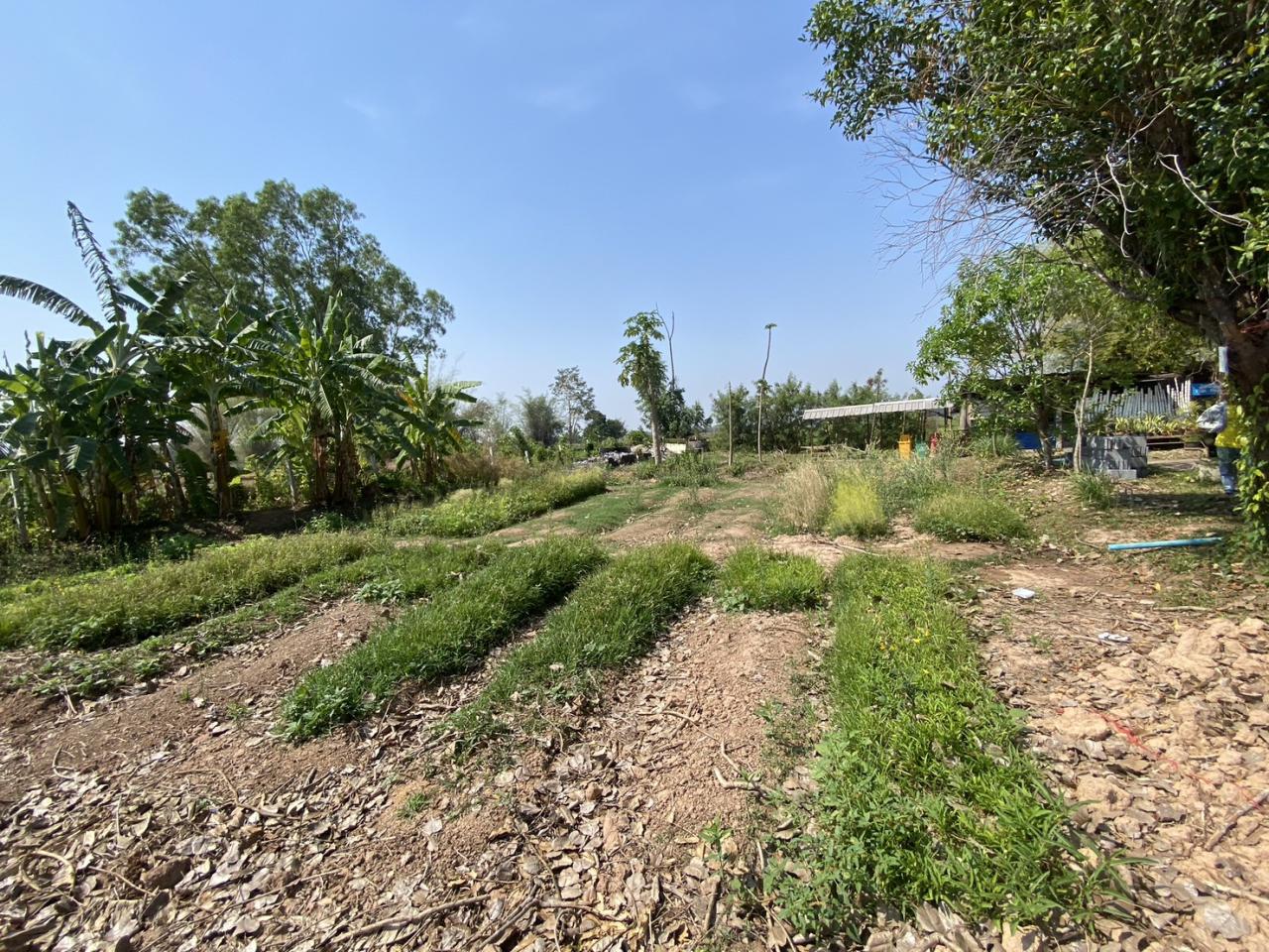 ภาพประกอบที่ 11