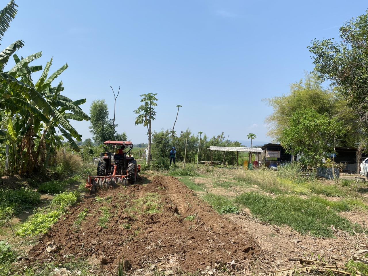 ภาพประกอบที่ 12