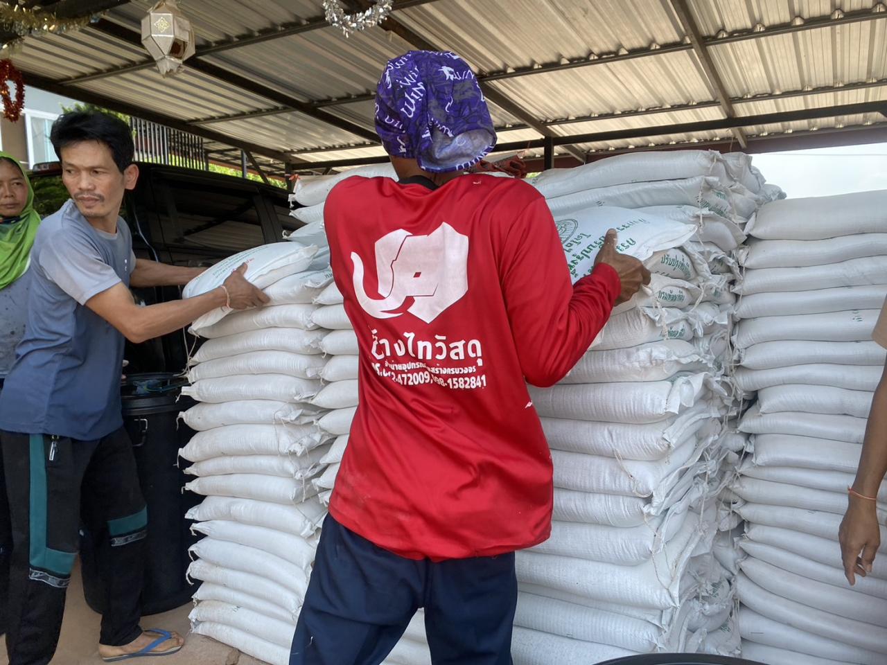 ภาพประกอบที่ 11