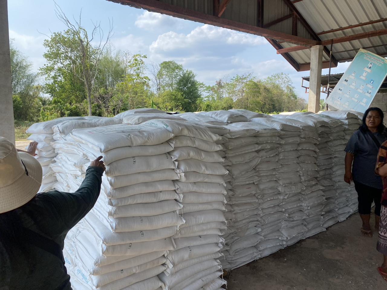 ภาพประกอบที่ 13