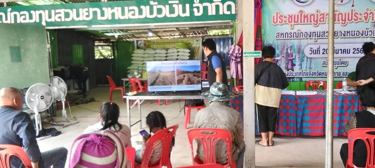 ภาพประกอบที่ 12