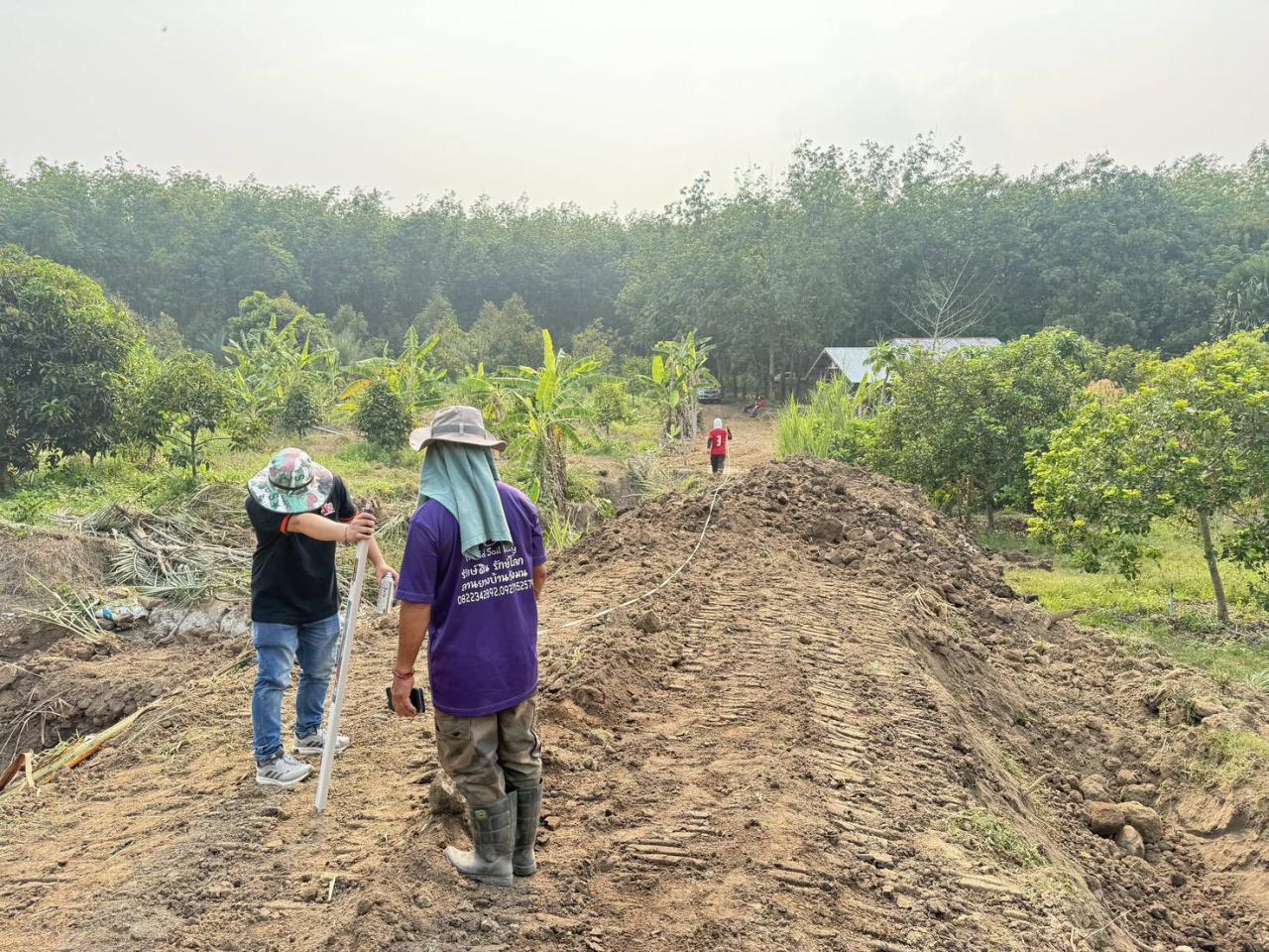 ภาพประกอบที่ 2