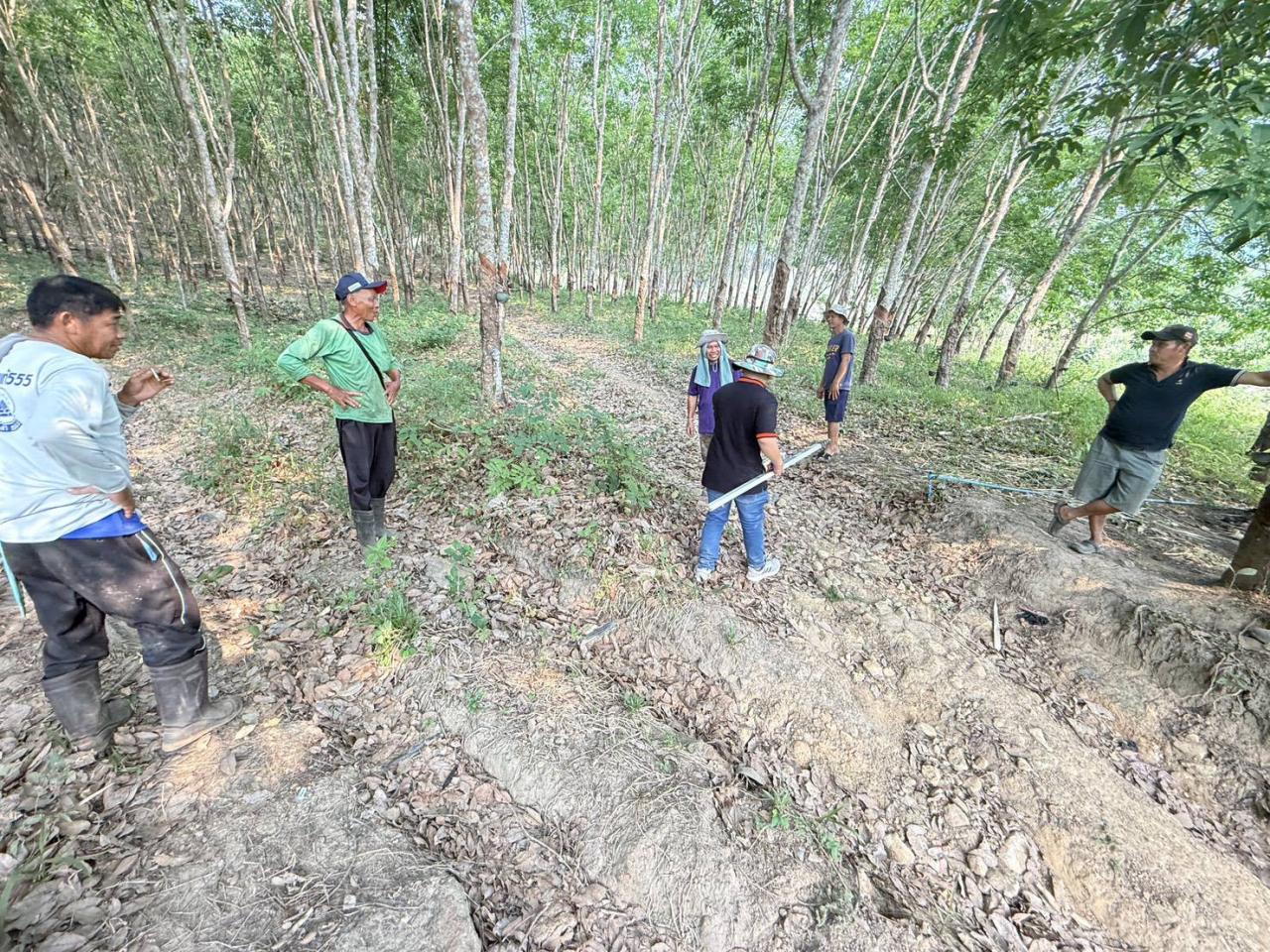 ภาพประกอบที่ 3