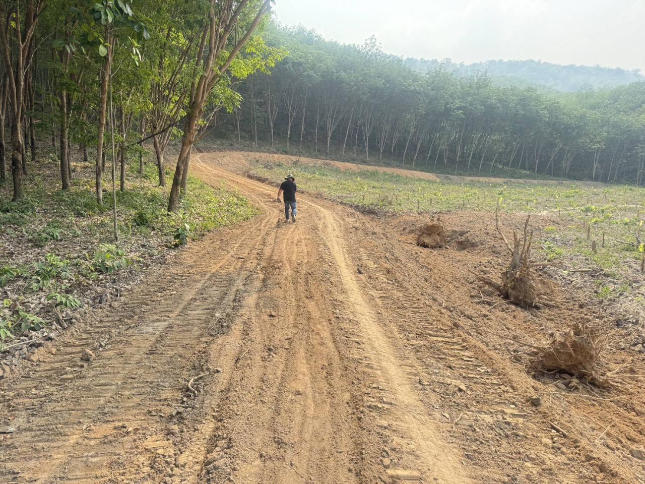 ภาพประกอบที่ 6