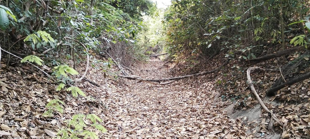 ภาพประกอบที่ 5