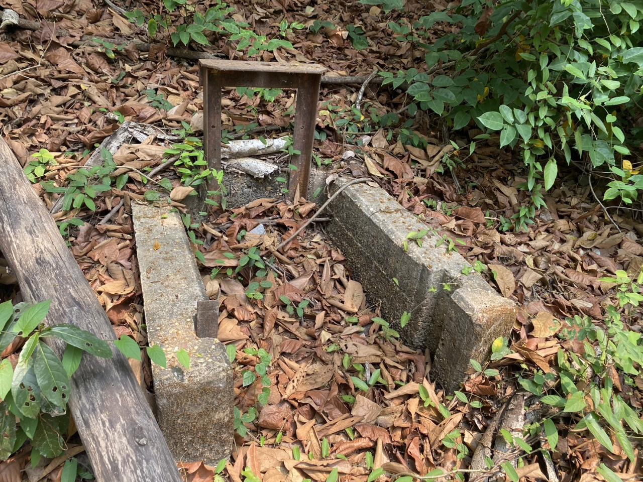 ภาพประกอบที่ 7