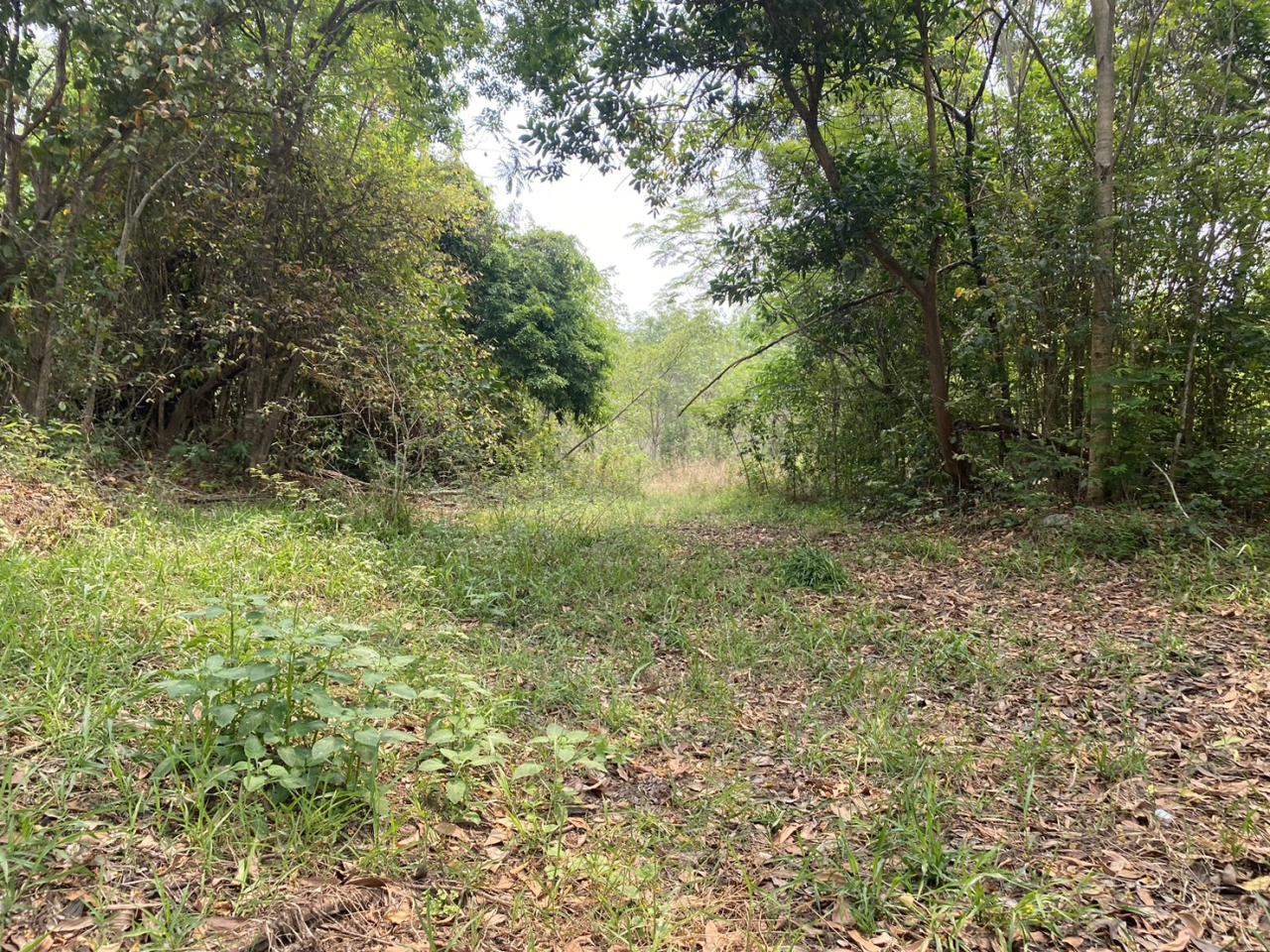 ภาพประกอบที่ 8