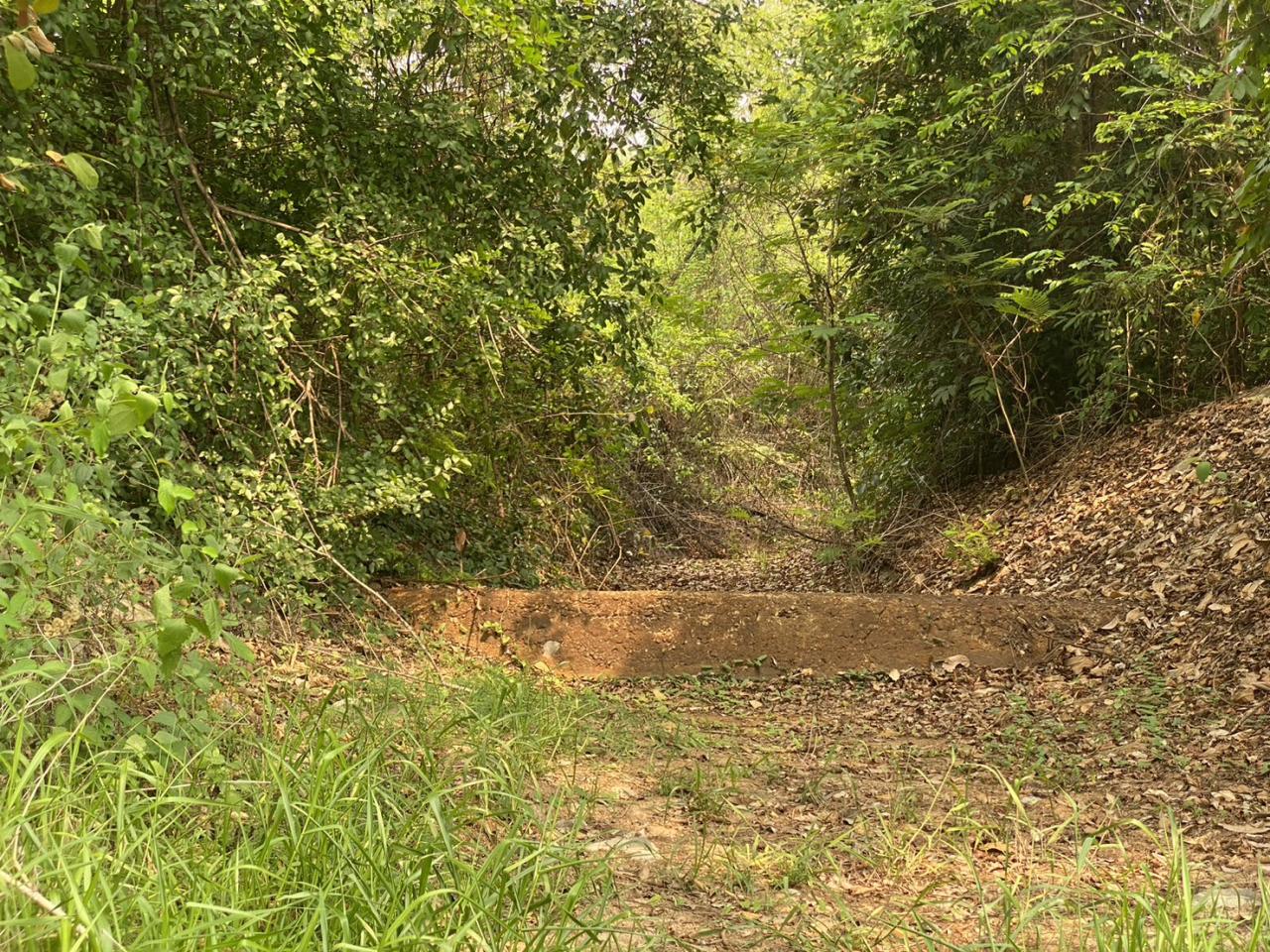 ภาพประกอบที่ 9