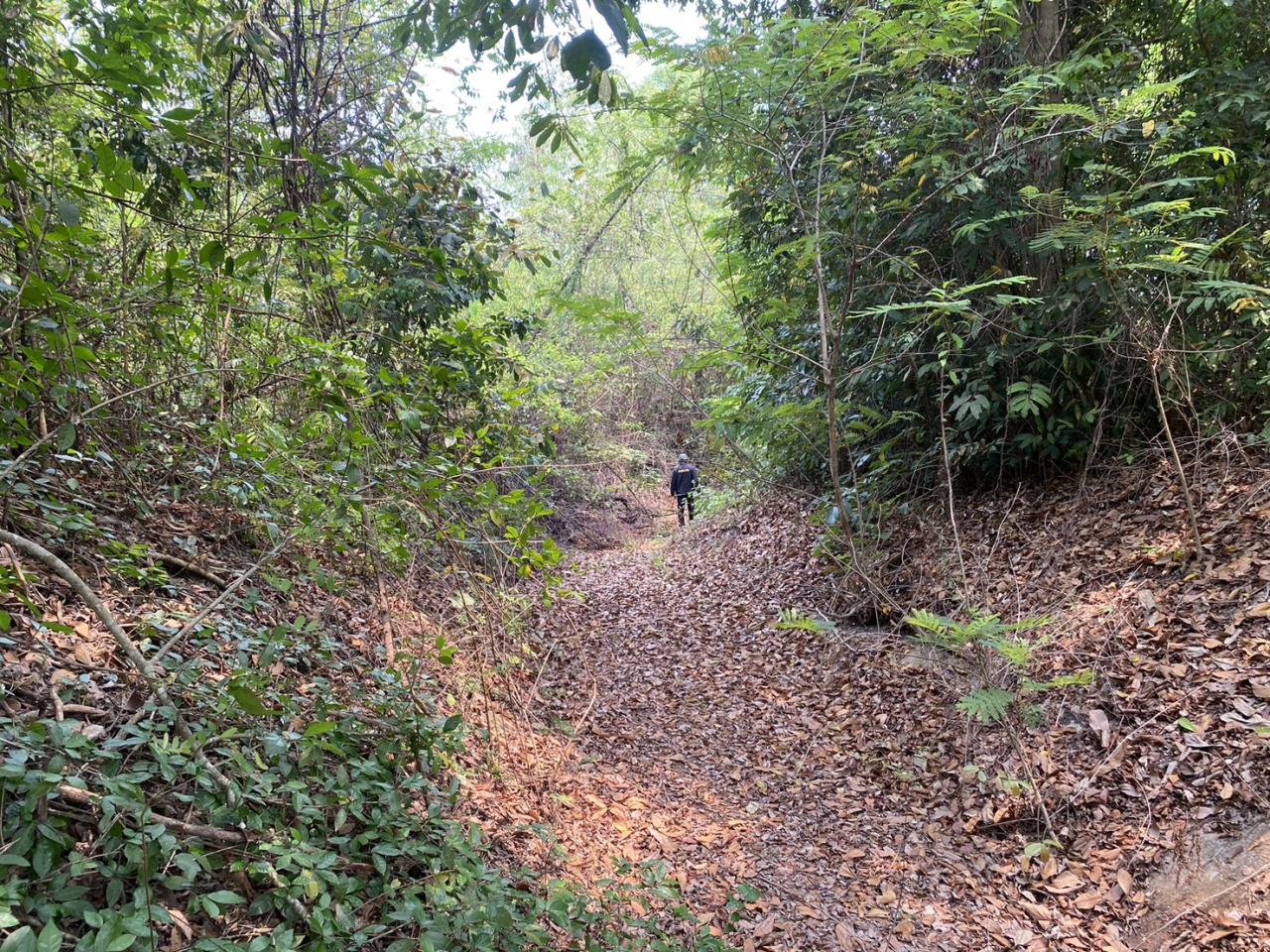 ภาพประกอบที่ 10