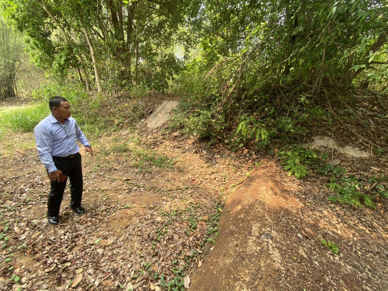 ภาพประกอบที่ 11