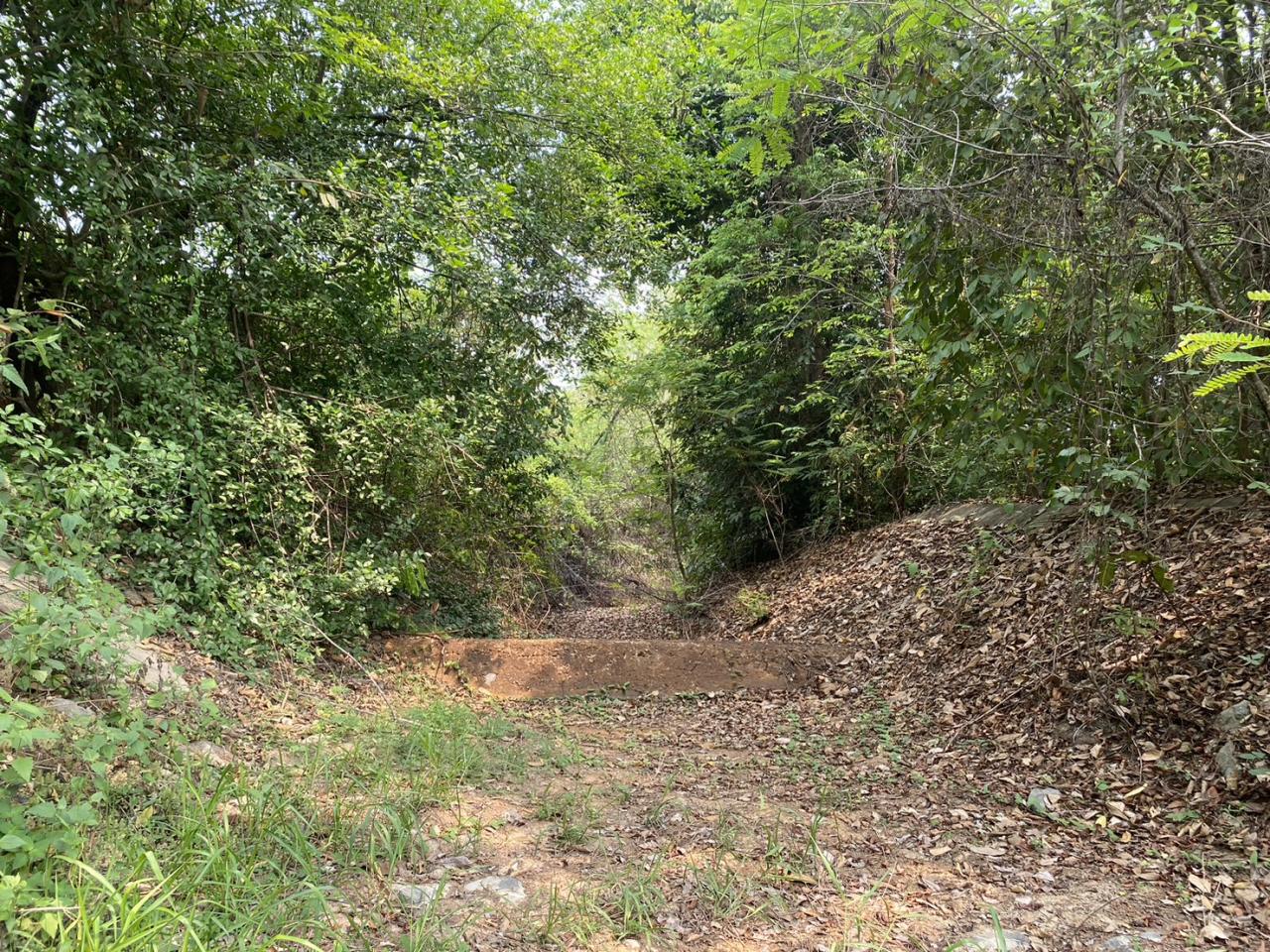 ภาพประกอบที่ 12