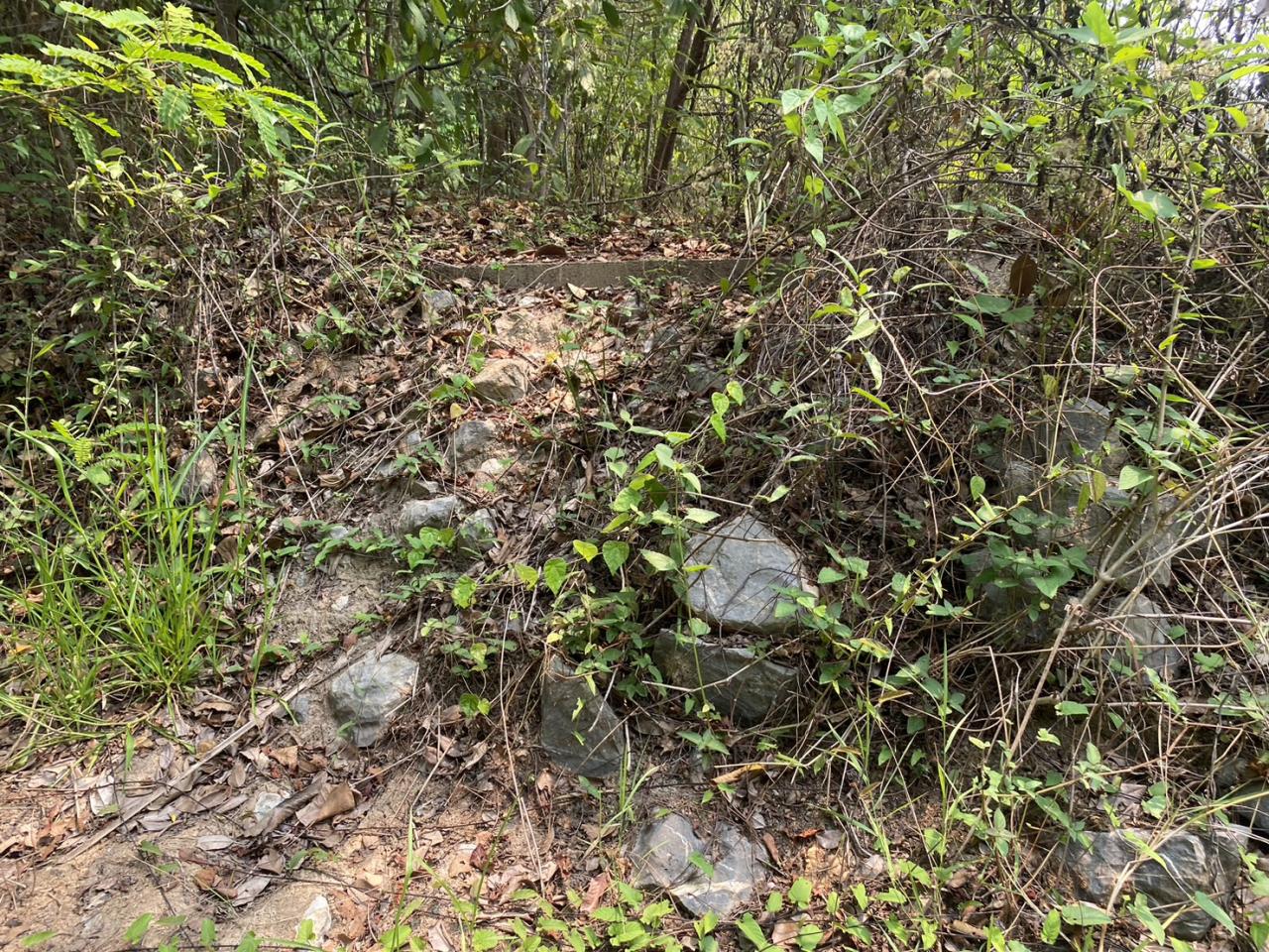 ภาพประกอบที่ 13