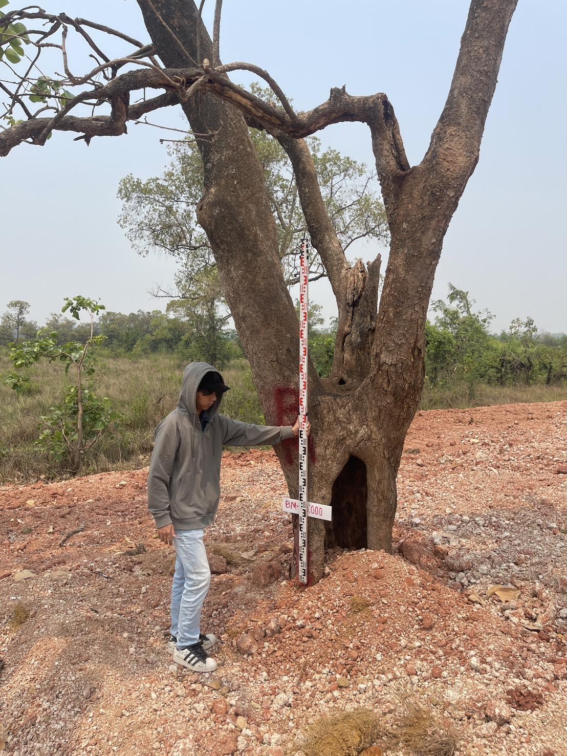 ภาพประกอบที่ 2