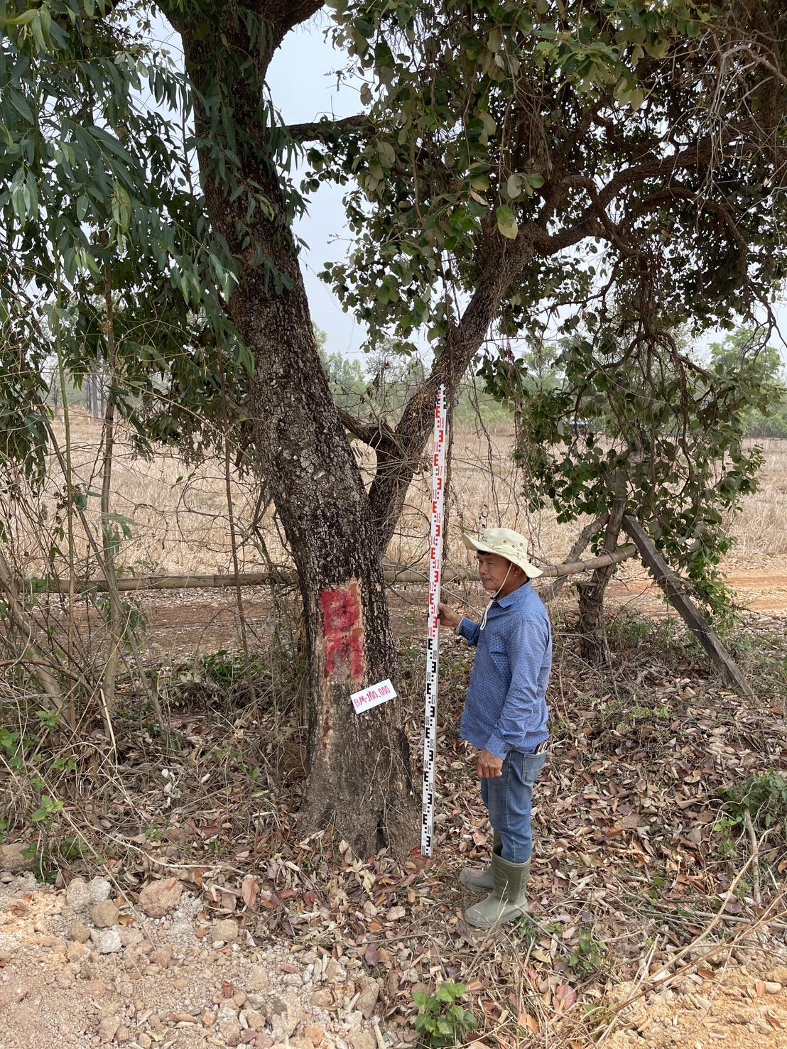 ภาพประกอบที่ 7