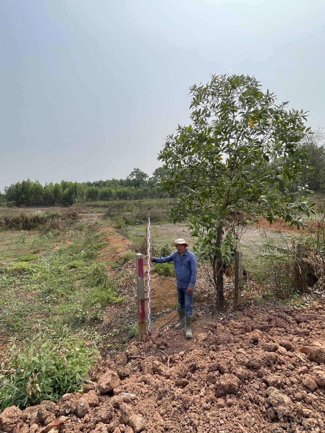 ภาพประกอบที่ 13