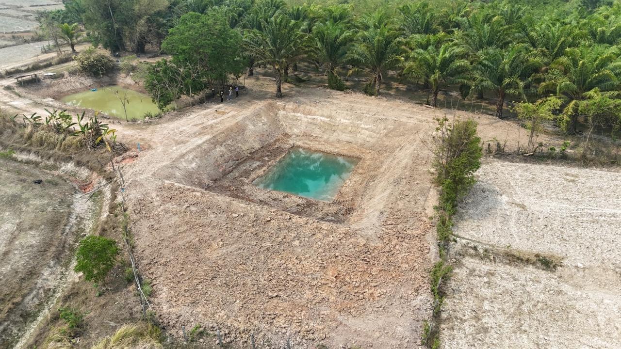 ภาพประกอบที่ 29